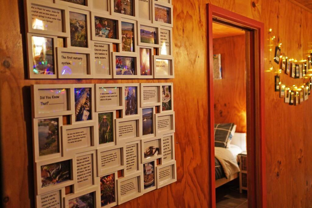 Bed and Breakfast Waikoura Springs Kaikoura Exterior foto
