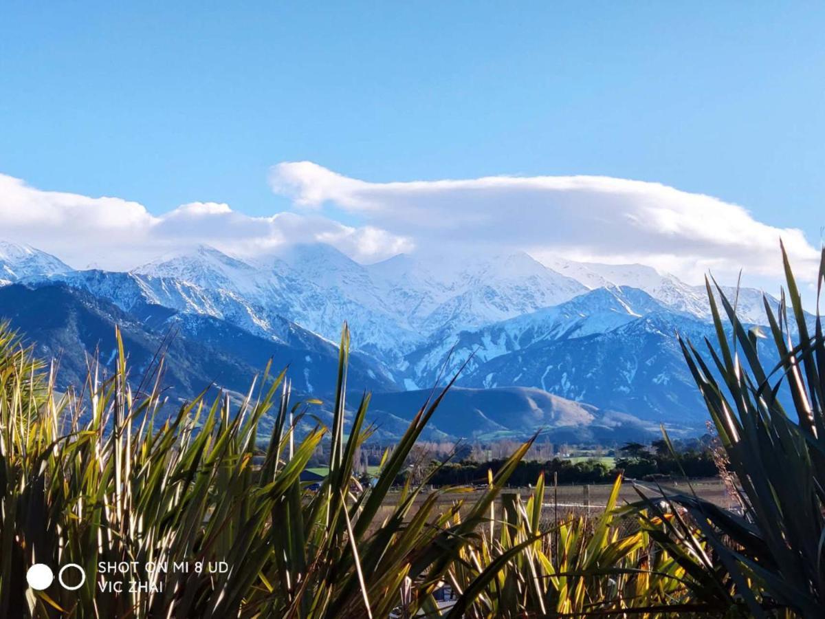 Bed and Breakfast Waikoura Springs Kaikoura Exterior foto